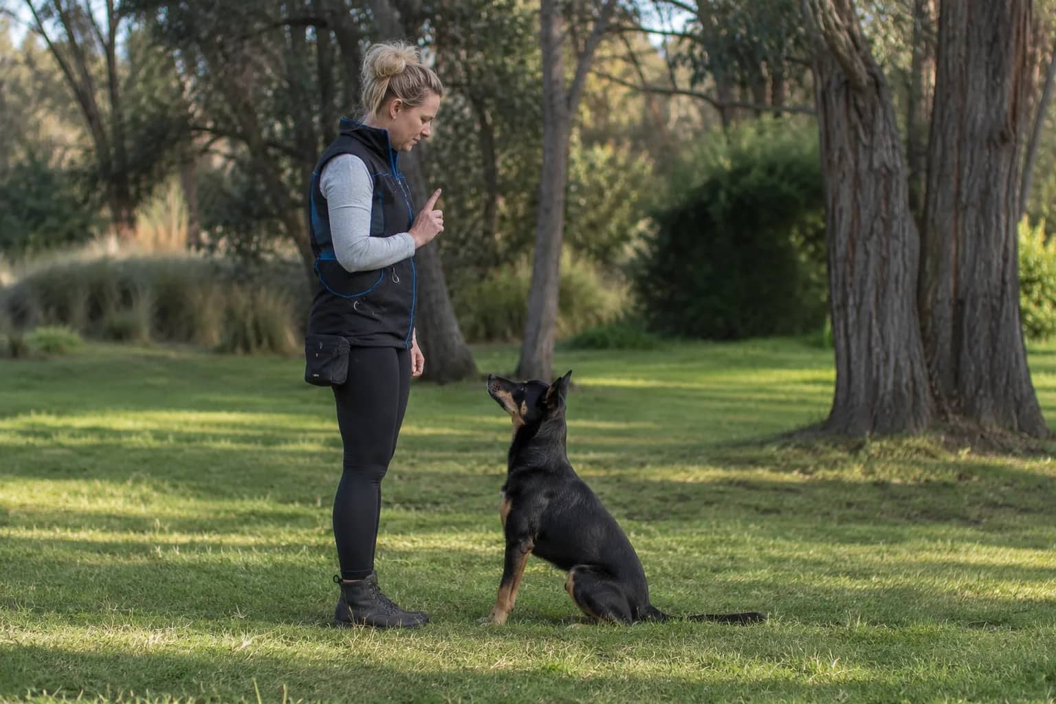 A handler standing quietly with a raised hand signal while a black-and-tan kelpie sits attentively in front of her on a park lawn — the picture of calm, clear leadership