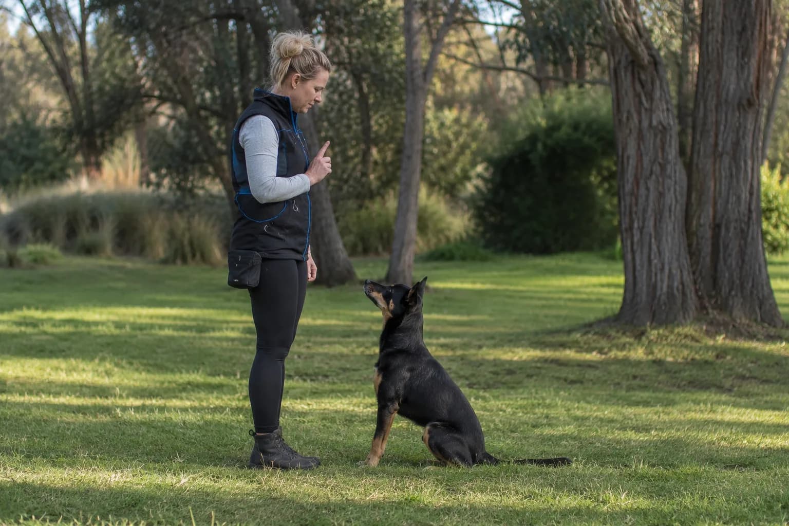 A handler standing quietly with a raised hand signal while a black-and-tan kelpie sits attentively in front of her on a park lawn — the picture of calm, clear leadership