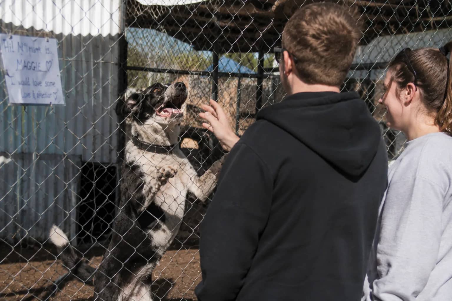 A young couple meeting a black-and-white shelter dog through the wire of its pen — "Maggie" hand-written on a sign, the dog up on its back legs reaching for them — the moment before the first 30 days begins