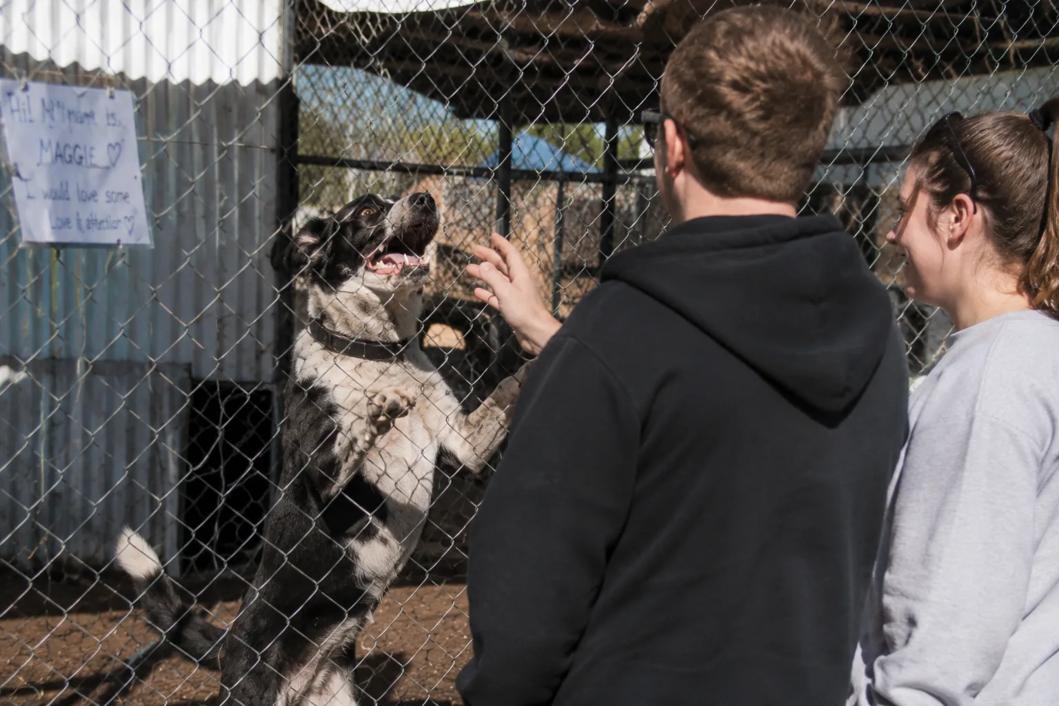 A young couple meeting a black-and-white shelter dog through the wire of its pen — "Maggie" hand-written on a sign, the dog up on its back legs reaching for them — the moment before the first 30 days begins