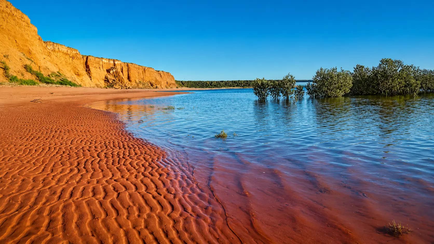Red sand and mangroves along the Upper Spencer Gulf coast