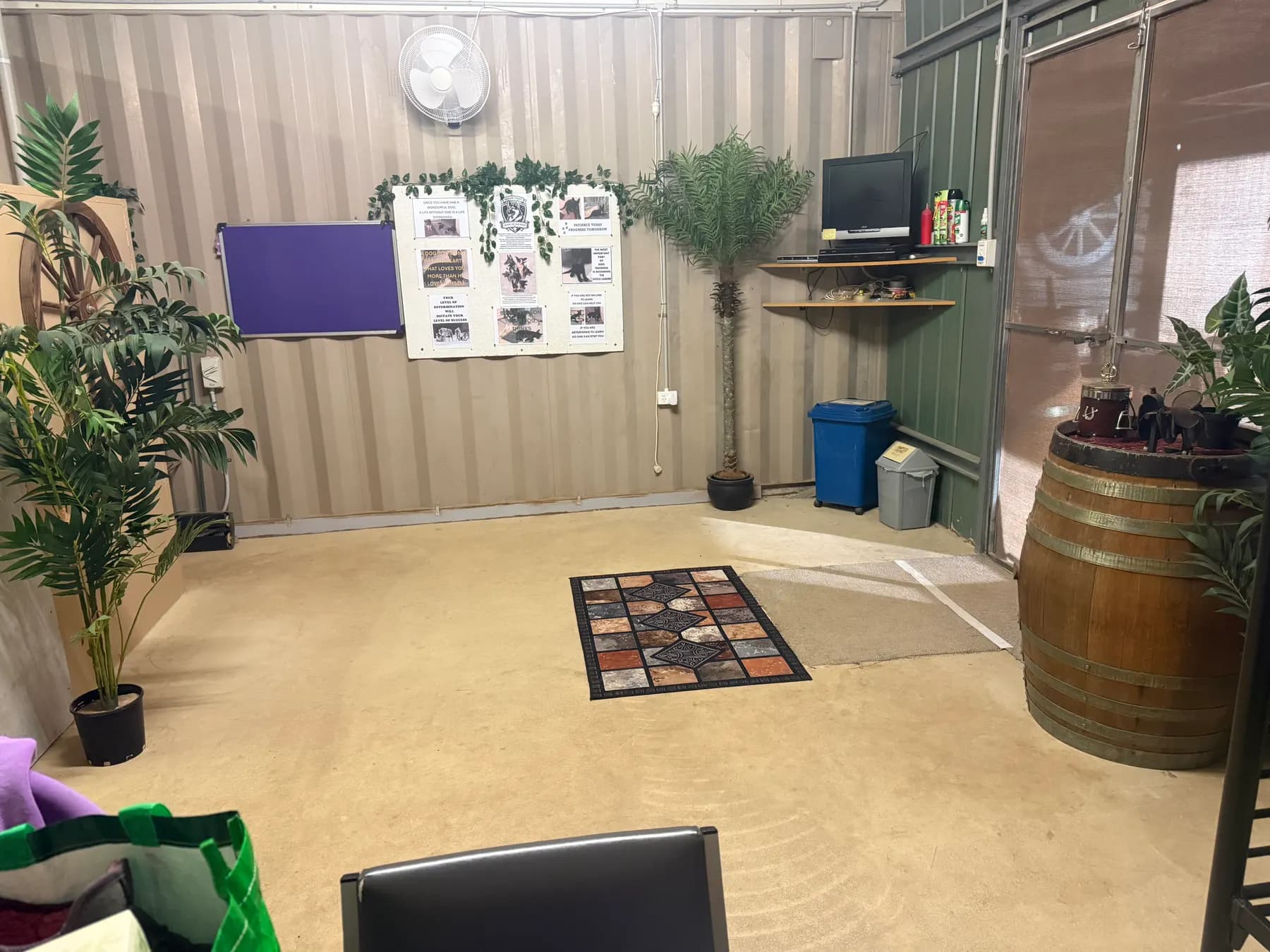 Inside Pauline Cowey's dedicated dog training studio at her Crystal Brook home — quiet, neutral, purpose-built for behaviour work